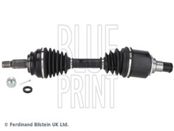 BLUE PRINT ADA1089502