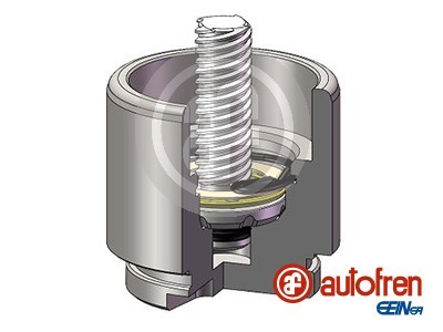 AUTOFREN SEINSA D025641RK EAN: 8430320274461.