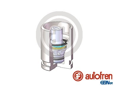 AUTOFREN SEINSA D025698K EAN: 8430320315652.