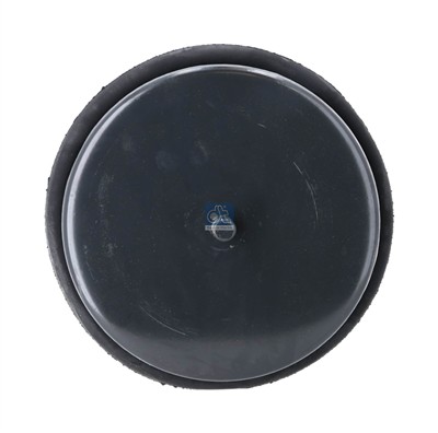 DT Spare Parts 2.62493 EAN: 4057795408067.
