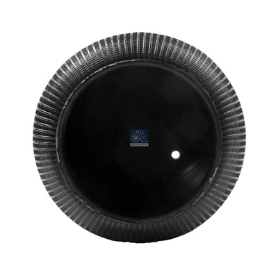 DT Spare Parts 3.66405 Číslo výrobce: 4884 N1 P01. EAN: 4057795242791.