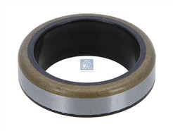 DT Spare Parts 4.20176