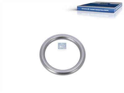 DT Spare Parts 4.20443 EAN: 4047755166571.