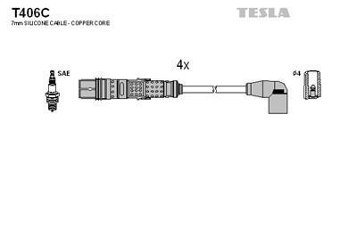 TESLA T406C EAN: 8595141028744.
