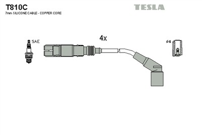 TESLA T810C EAN: 8595141012071.