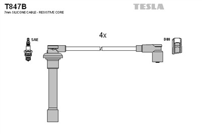 TESLA T847B EAN: 8595141012699.