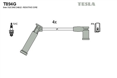 TESLA T894G EAN: 8595141013597.