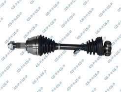 GSP 217054