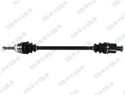 GSP 250134