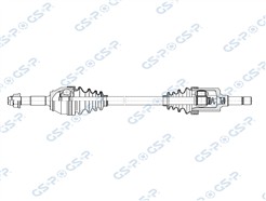 GSP 256983