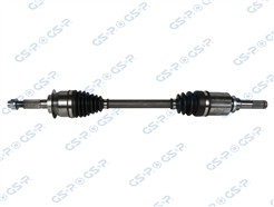 GSP 257299