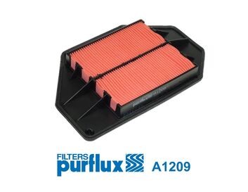 PURFLUX A1209 EAN: 3286064171901.