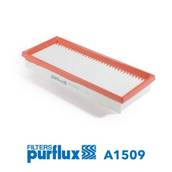 PURFLUX A1509 EAN: 3286062015092.