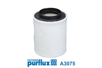 PURFLUX A3075 EAN: 3286062030750.