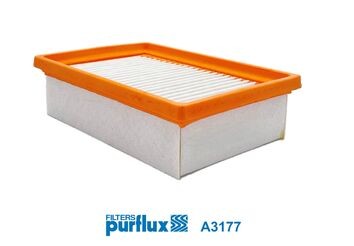 PURFLUX A3177 EAN: 3286062031771.