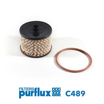 PURFLUX C489 EAN: 3286061842767.