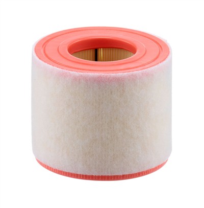 MANN-FILTER C 15 010 EAN: 4011558029111.