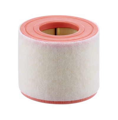 MANN-FILTER C 15 010 EAN: 4011558029111.