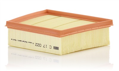 MANN-FILTER C 17 022 EAN: 4011558810795.