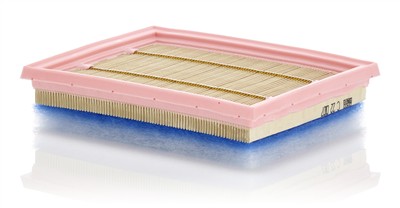 MANN-FILTER C 22 007 EAN: 4011558019075.