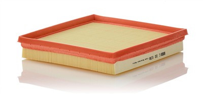 MANN-FILTER C 22 038 EAN: 4011558331634.