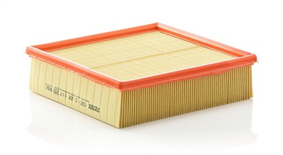MANN-FILTER C 22 117 EAN: 4011558130909.