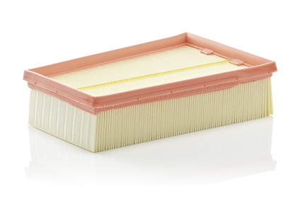 MANN-FILTER C 2433/2 EAN: 4011558385408.