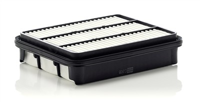 MANN-FILTER C 2438 EAN: 4011558205805.