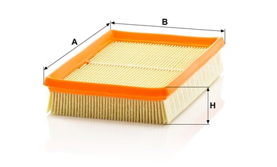 MANN-FILTER C 2448 EAN: 4011558383800.