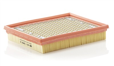 MANN-FILTER C 2452 EAN: 4011558178703.