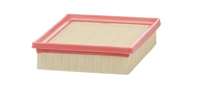 MANN-FILTER C 2490 EAN: 4011558354701.