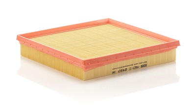 MANN-FILTER C 2493 EAN: 4011558182502.