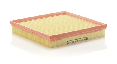 MANN-FILTER C 2493 EAN: 4011558182502.