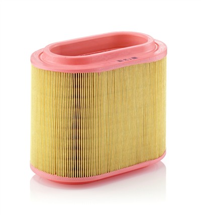 MANN-FILTER C 24 196 EAN: 4011558215309.