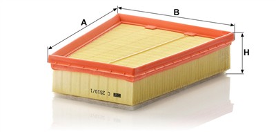 MANN-FILTER C 2510/1 EAN: 4011558385101.