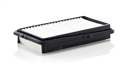 MANN-FILTER C 2537/2 EAN: 4011558157609.