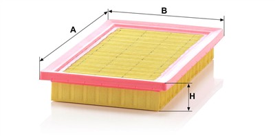 MANN-FILTER C 2568/1 EAN: 4011558172800.
