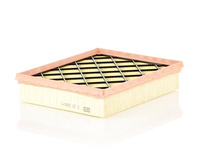 MANN-FILTER C 25 008/1 EAN: 4011558043629.