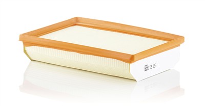 MANN-FILTER C 25 033 EAN: 4011558093686.