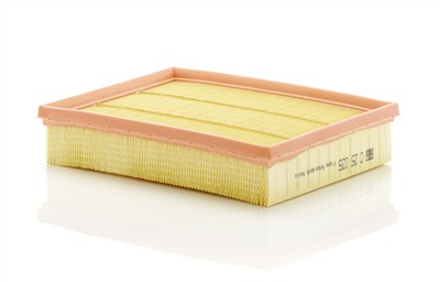 MANN-FILTER C 25 035 EAN: 4011558342135.