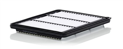MANN-FILTER C 25 051 EAN: 4011558808457.