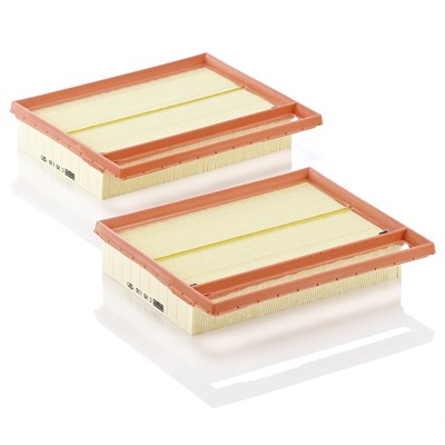 MANN-FILTER C 25 110-2 EAN: 4011558219802.