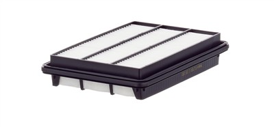 MANN-FILTER C 25 200 EAN: 4011558812324.