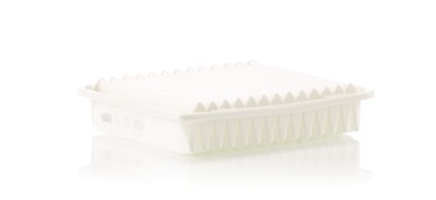 MANN-FILTER C 25 654 EAN: 4011558054946.