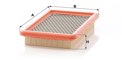 MANN-FILTER C 2666 EAN: 4011558189204.
