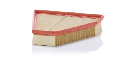 MANN-FILTER C 27 114 EAN: 4011558382308.