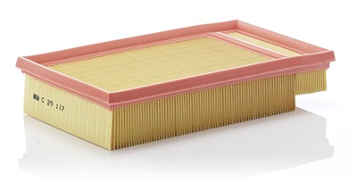 MANN-FILTER C 29 117 EAN: 4011558222802.