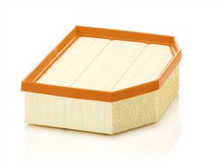 MANN-FILTER C 29 132