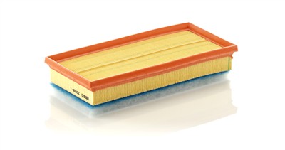 MANN-FILTER C 3088/1 EAN: 4011558014841.