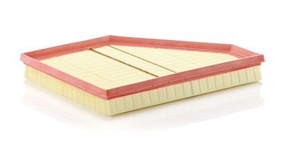 MANN-FILTER C 3090/1 EAN: 4011558380809.